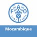 FAO Mozambique (@FAOMozambique) Twitter profile photo