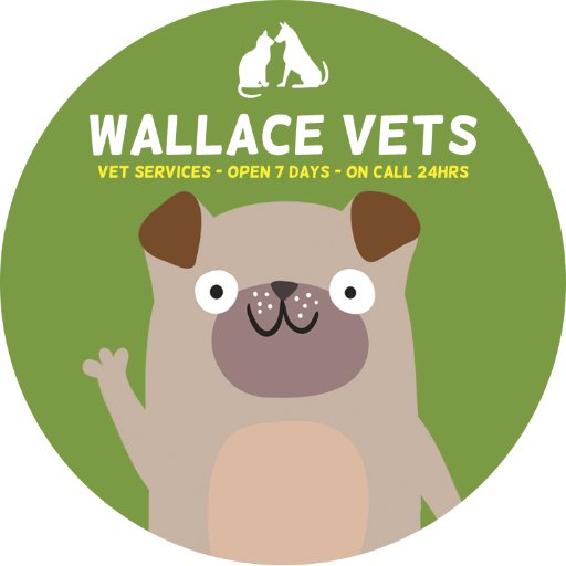 Open 7 days, on call 24 hours. Independent Vets in Dundee and Angus. Find out why more and more Pets are moving to Wallace Vets.