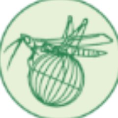 OrthopteraR Profile Picture
