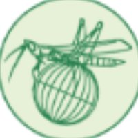 Orthoptera Research(@OrthopteraR) 's Twitter Profile Photo