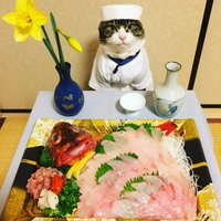 🐡料理bot🍖(@dish_bot_080) 's Twitter Profile Photo
