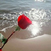 خوااطر💕 (@majdah9090) 's Twitter Profile