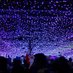 Studley Xmas Lights (@studleyxmas) Twitter profile photo Studley Xmas Lights (@studleyxmas) Twitter profile photo