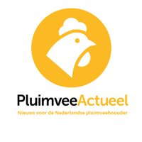 PluimveeActueel(@PluimveeActueel) 's Twitter Profile Photo