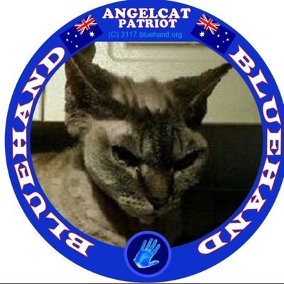  Angelcat  Patriot on Twitter Palestinian terrorists you 