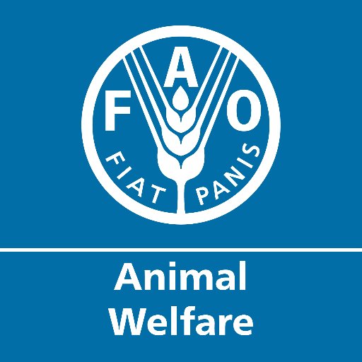 News, flashes and highlights on food, farmers and animals to enhance the welfare of animals, the people and environment around them.
#UNFAO