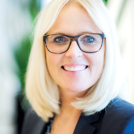 Affärsområdeschef på ABB, High Voltage Products. HUB BU Manager Northern Europe