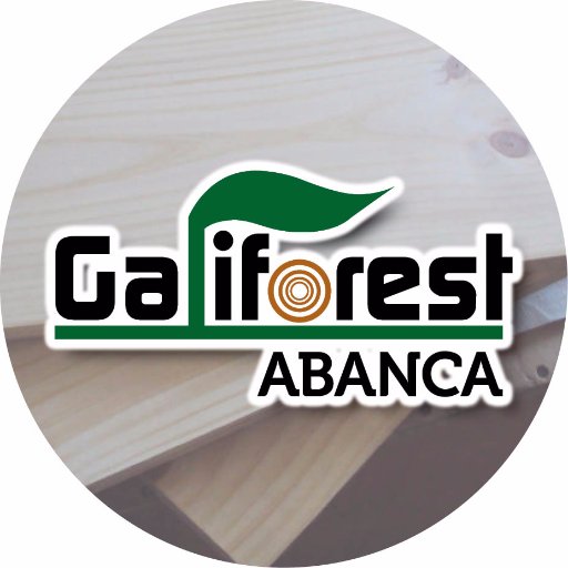 galiforest Profile Picture