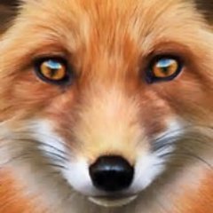 This government is YOUR enemy ! Against corruption, inequality, injustice.Labour and Momentum member, Corbyn supporter. animal rights, (RTs not endorsements)