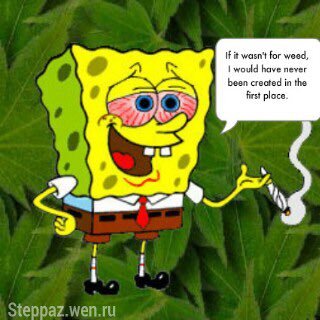 stoner_lives's profile picture. Smoke bud till you die. Bud makes your life alot more fun trust me(: