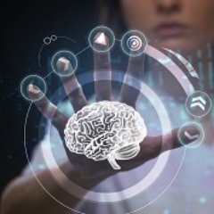 we strive to be the WordPress for virtual reality in education