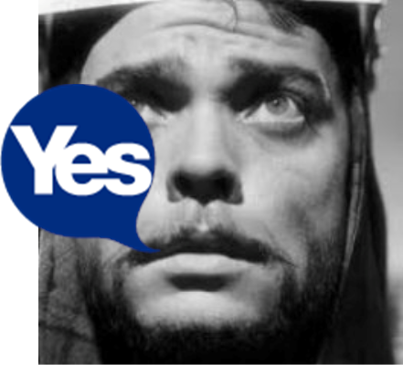 krakzus's profile picture. 