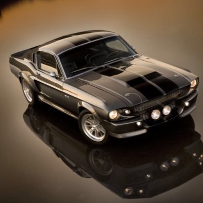 MikePeng98's profile picture. Ecommerce, real estate investment, import export, social networking, investments, meeting new friends