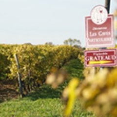 Au coeur de l'appellation PINEAU des CHARENTES et COGNAC, le Vignoble GRATEAUD cultive la vigne de père en fils depuis 5 générations #cognac #pineaudescharentes