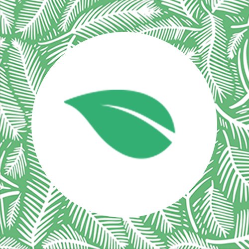 Ecodringg's profile picture. Société française de vente de produits électroniques sans piles. 1 produit acheté = 1 arbre planté avec @reforestaction. #ecologie #technologie