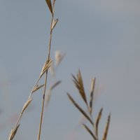 CESFS (@livunifoodsys) 's Twitter Profile