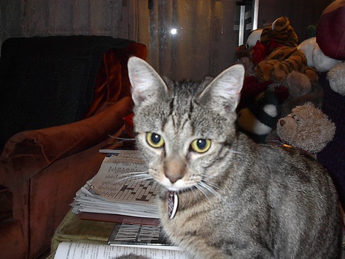 ctsheehy's profile picture. 