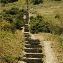 NewsSandra's profile picture. Former anchor reporter because life is colorful... Tweets are my own.