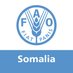 FAO in Somalia (@FAOSomalia) Twitter profile photo