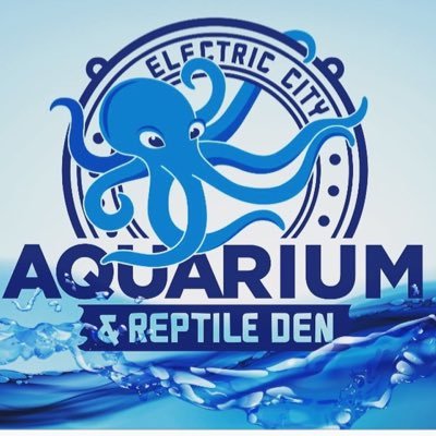 ElectricCityAq1's profile picture. Electric city aquarium is a hands on self guided educational tour starting with our reptile exhibits and ending with our fresh and salt water exhibits.