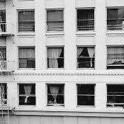 PSCI160F16isi's profile picture. 