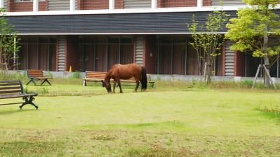 パソコンがプッ壊れて以前のアカウントが使えないので暫定的に新アカ使ってます。
長らくお待たせして申し訳ありませんが、投稿のメドが立ちそうです。