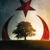 tha (@thamafe) Twitter profile photo