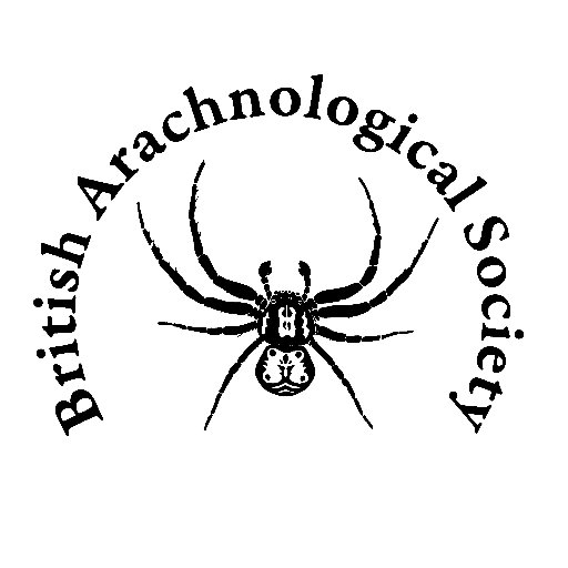 The British Arachnological Society (BAS) is the UK’s only body devoted exclusively to the study of arachnids (spiders, harvestmen & pseudoscorpions).