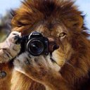 Gabor Adrian - @AdrianGabor - Twitter