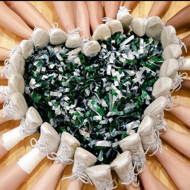 Nordonia Cheer Profile