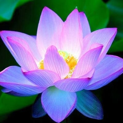 rociogonza94's profile picture. 