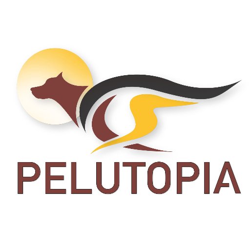 PelutopiaEquipo's profile picture. Escuela de etología canina y antrozoología en la provincia de Barcelona - Penedés