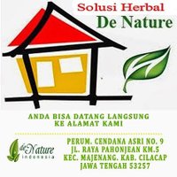 Pengobatan DeNature (@dany_saputra963) 's Twitter Profile