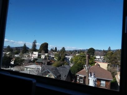 RaniMeeta's profile picture. 