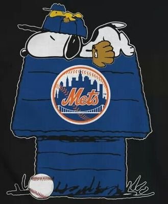 Die Hard Mets fan that loves superhero movies and likes to laugh.