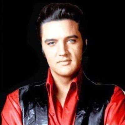 I am fan big fan of elvis