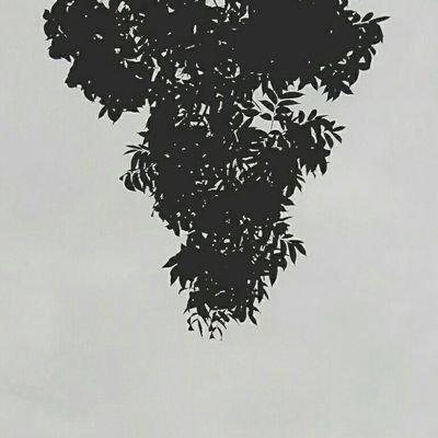 MattCodess's profile picture. mag mahal ng tapat at totoo.