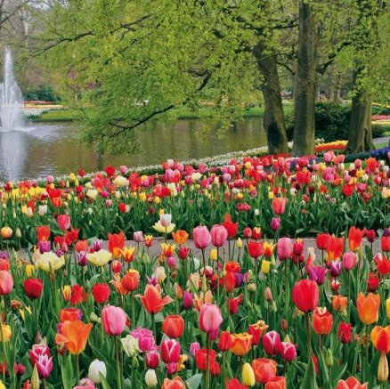 2020HasArrived's profile picture. 