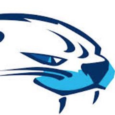 Managing Partner, Victoria @HarbourCats of @WCLbaseball... 2-time nat champ...x-chair #WBChallenge... analyst/coach/scout, Detroit Tigers...Tweets mine alone