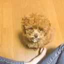 さ (@060162386) Twitter