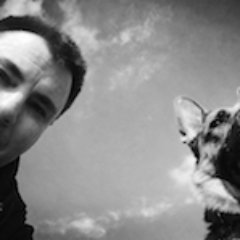 mckenziescott's profile picture. Storyteller, data nerd, content strategist. Australian living elsewhere...and occasionally missing real beaches. Views my own.