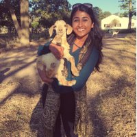 Kalpita Patel (@kalpitapatel_) 's Twitter Profile