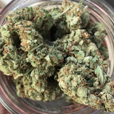 Holistic Health Consultant, Cannabis is Medicine #weedismedicine #cannabis #weed #growyourown