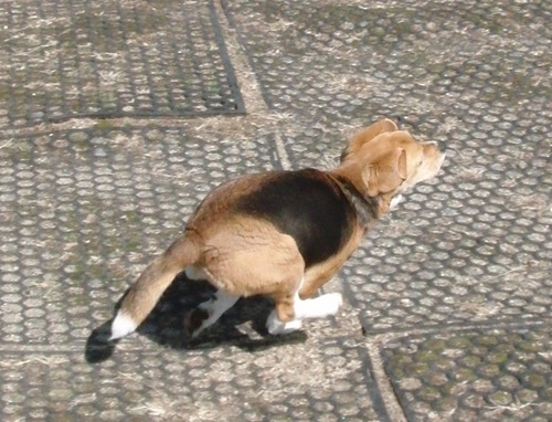 maki20000's profile picture. 