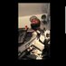 Bodyguard (@nycbodyguard198) Twitter profile photo Bodyguard (@nycbodyguard198) Twitter profile photo