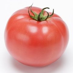 ユウト３３さんのプロフィール画像