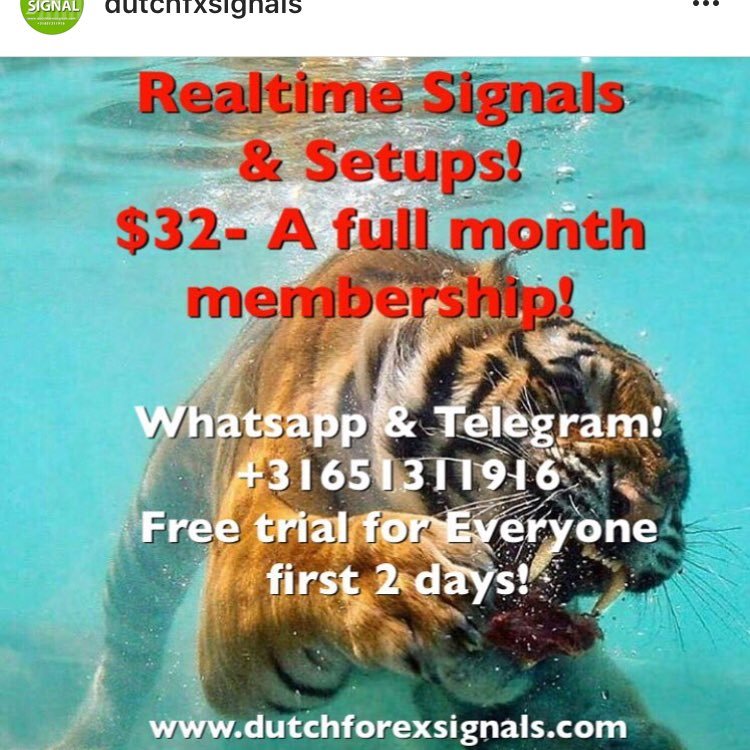 Best Forex Signals on the globe live community group! and signal group two day free trial!