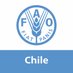 FAO Chile (@faochile) Twitter profile photo FAO Chile (@faochile) Twitter profile photo
