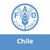 FAO Chile (@FAOChile) Twitter profile photo