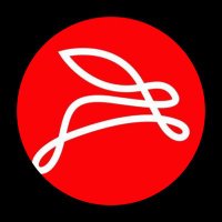 Jackrabbitwestfield (@jackrabbitwestf) 's Twitter Profile